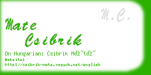 mate csibrik business card